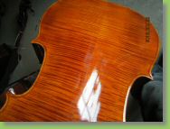 9500 CELLO A.jpg